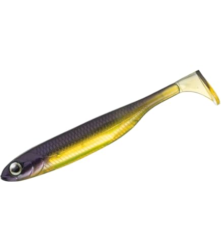 Amazon.co.jp: Fish Arrow(フィッシュアロー) ルアー フラッシュ